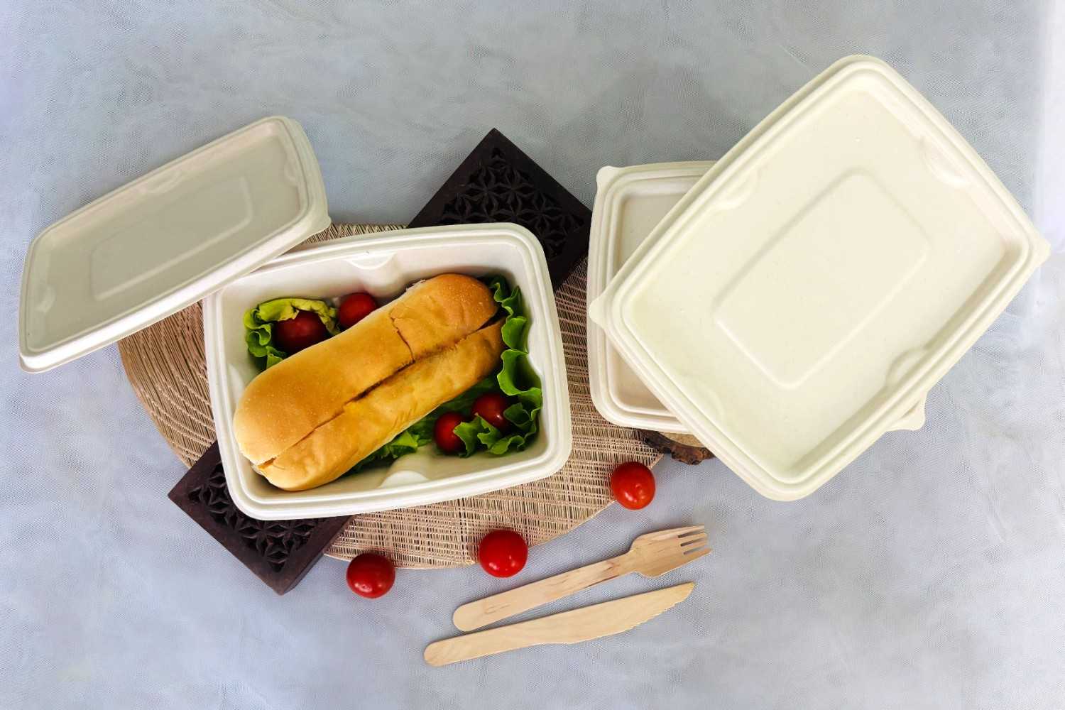Why Sugarcane Bagasse is the Future of Sustainable Packaging?