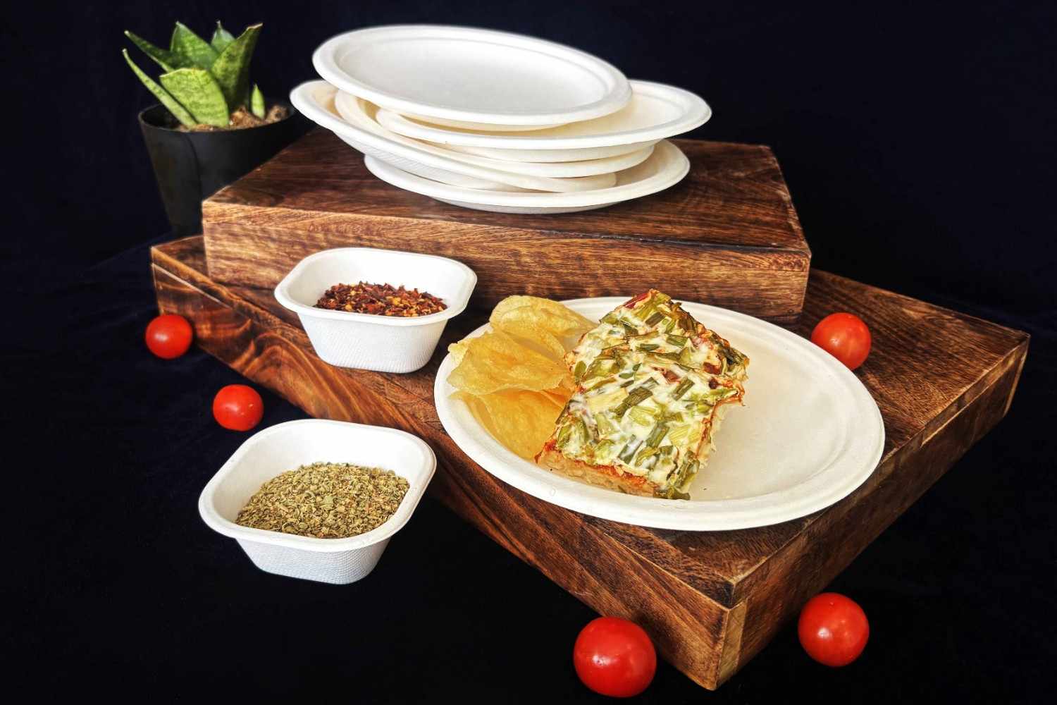How Ecocane is Revolutionizing the Food Industry with Sustainable Solutions?
