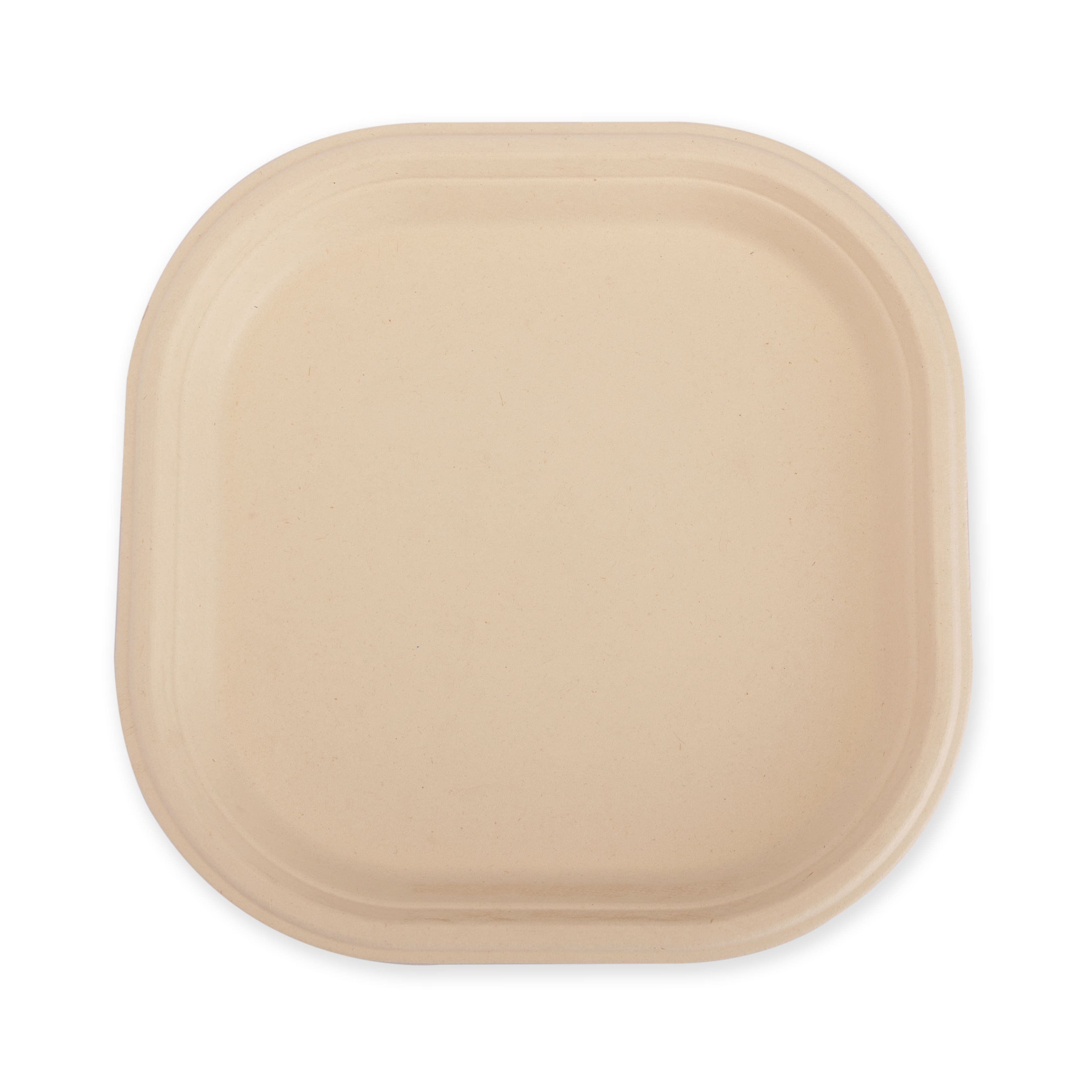 Square Plate 9 inch