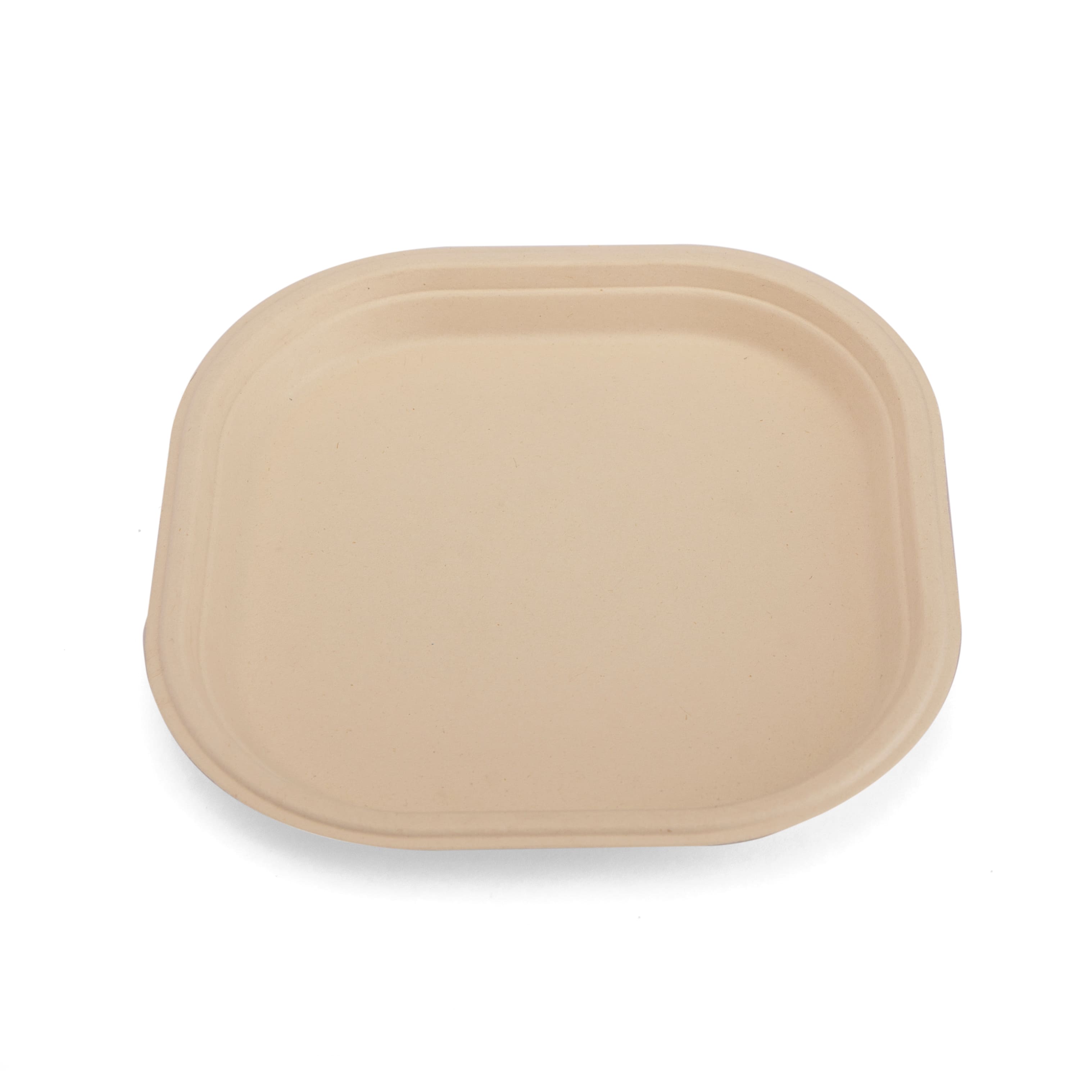 Square Plate 9 inch