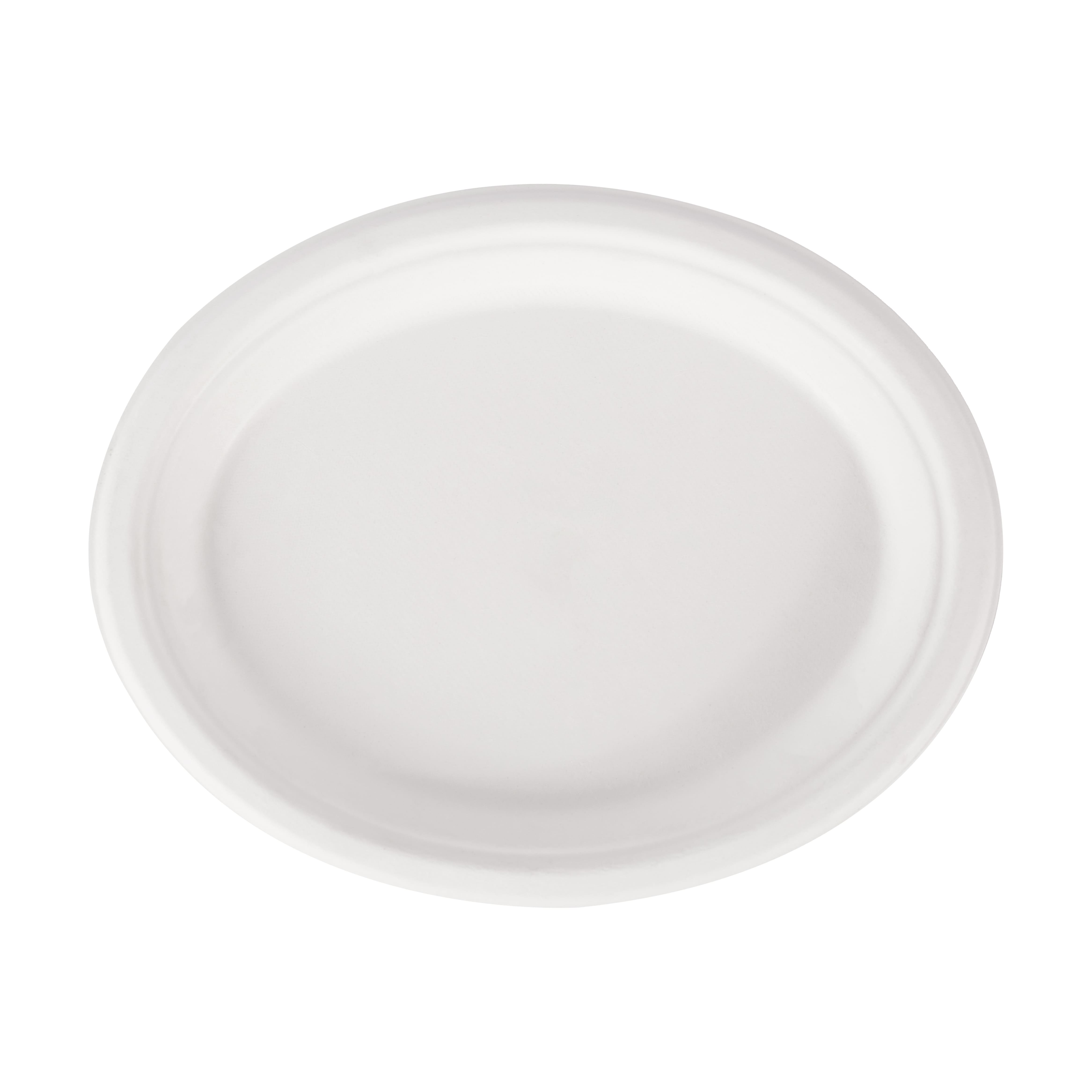 Oval Plate 10 inch