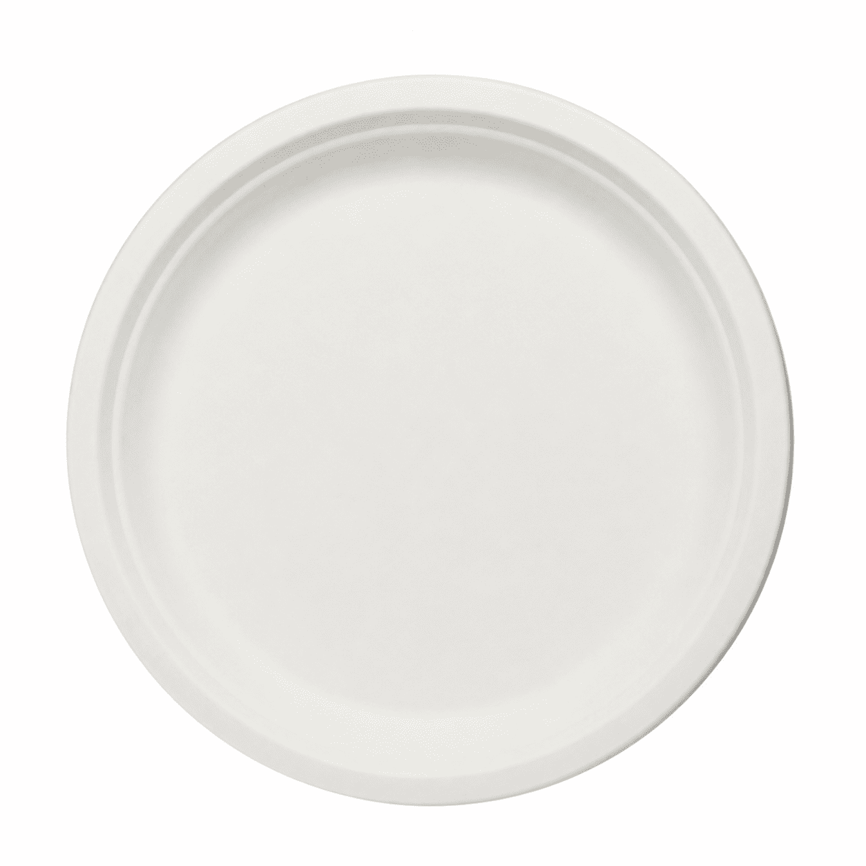 Round Plate 9 inch
