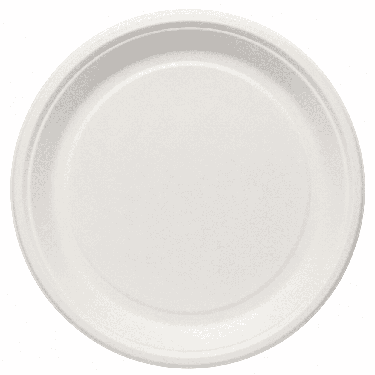 Round Plate 11 inch