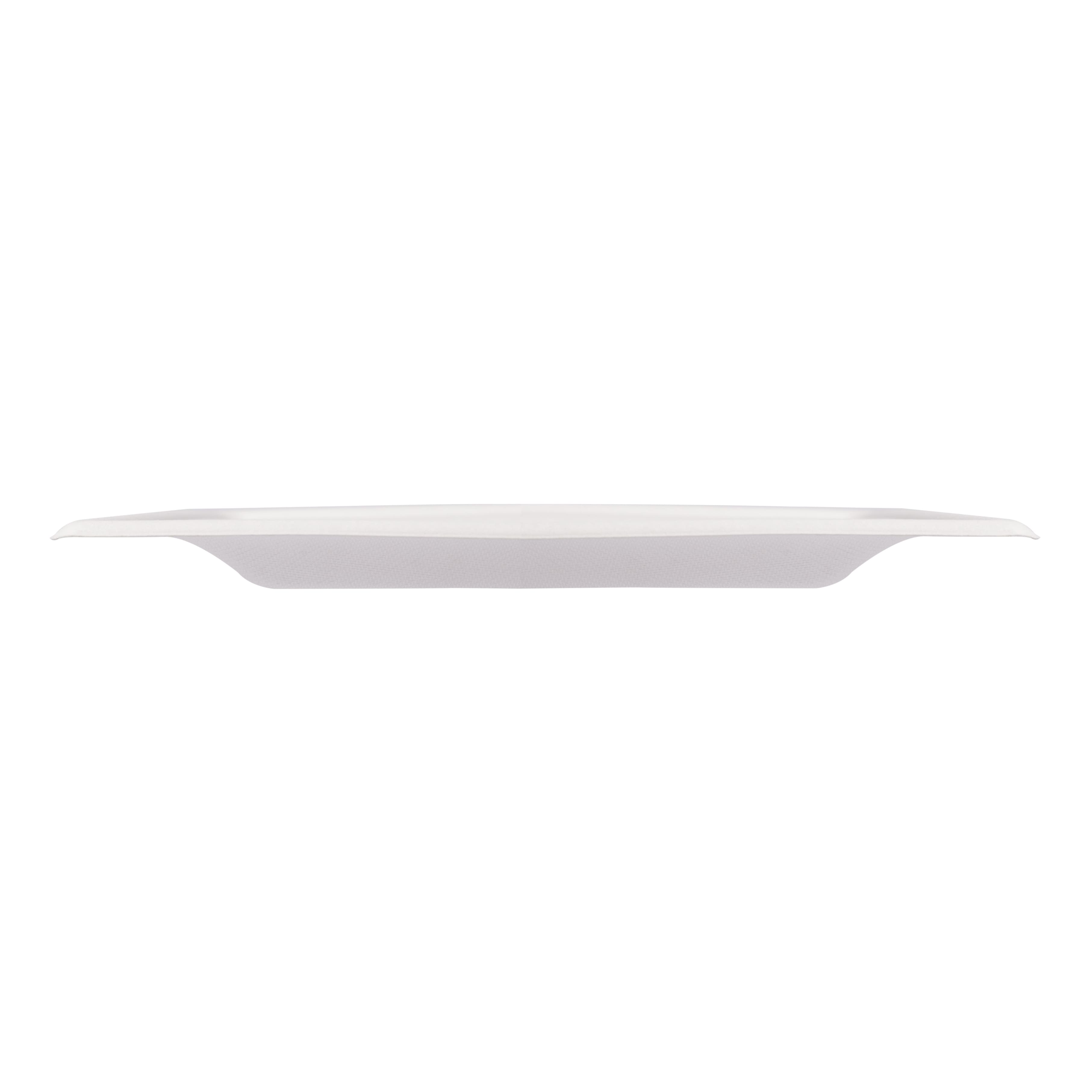 Square Plate 8 inch