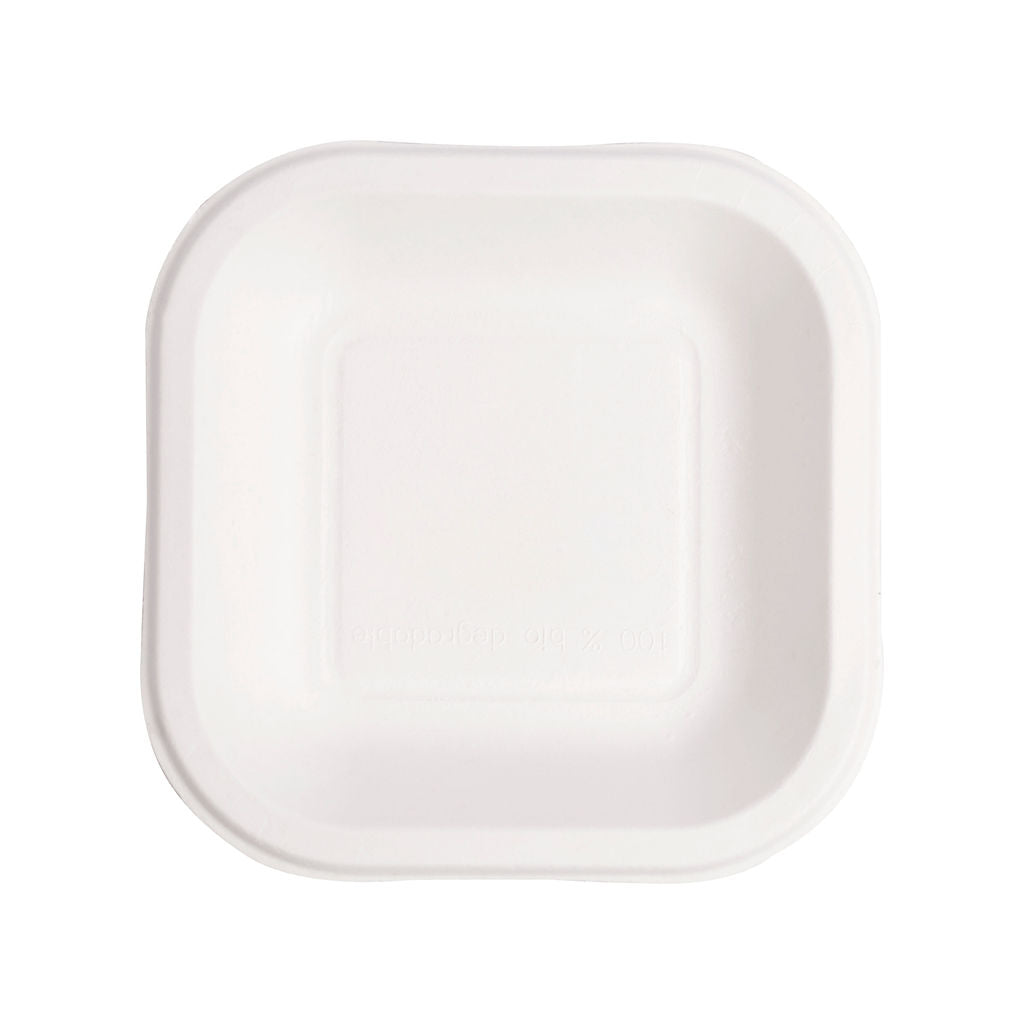 Square Plate 6 inch