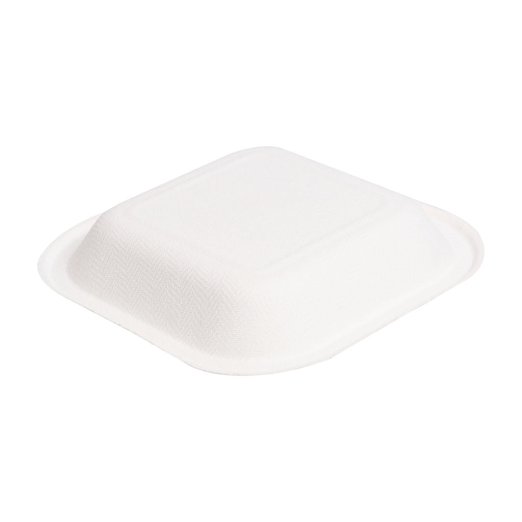 Square Plate 6 inch