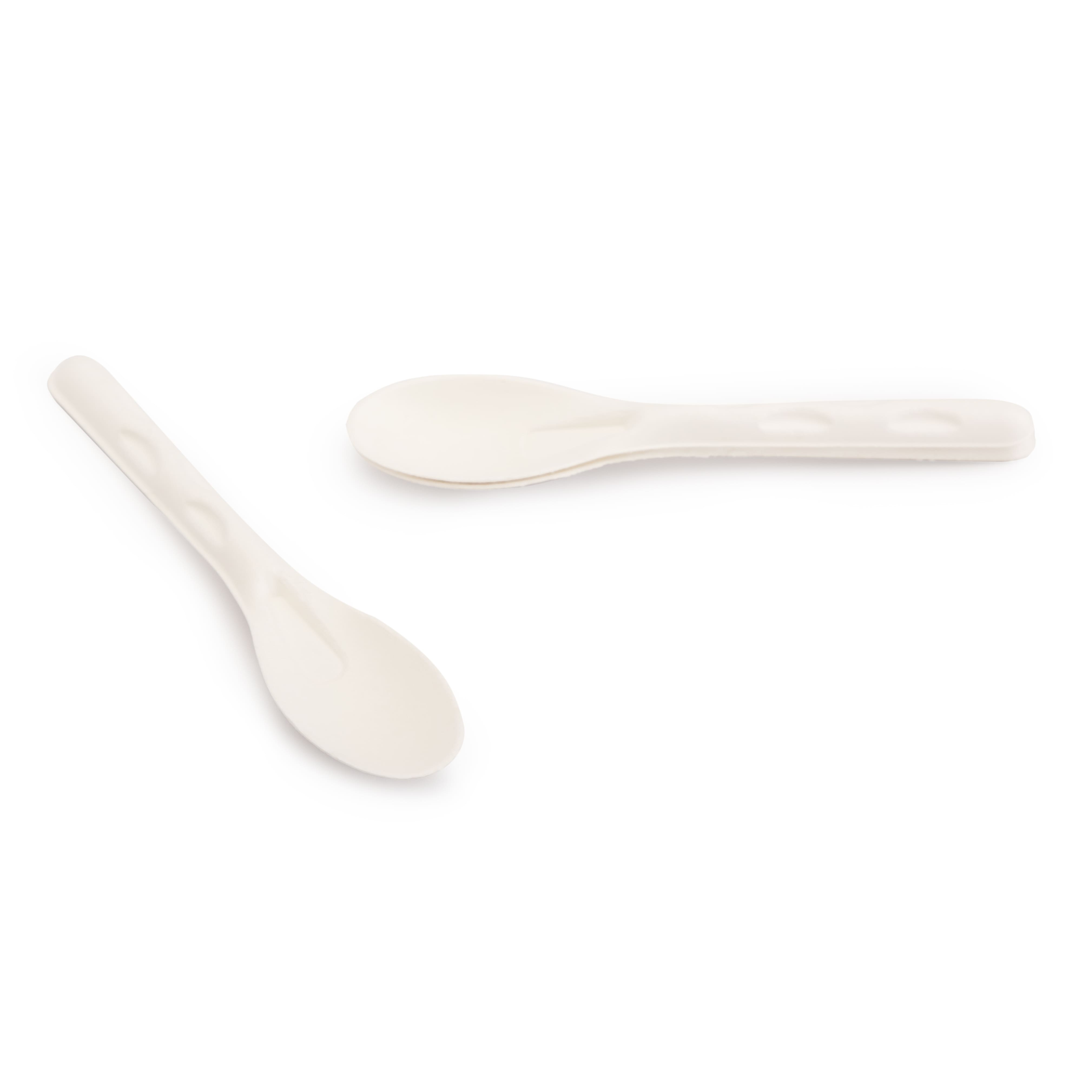 Bagasse Spoon