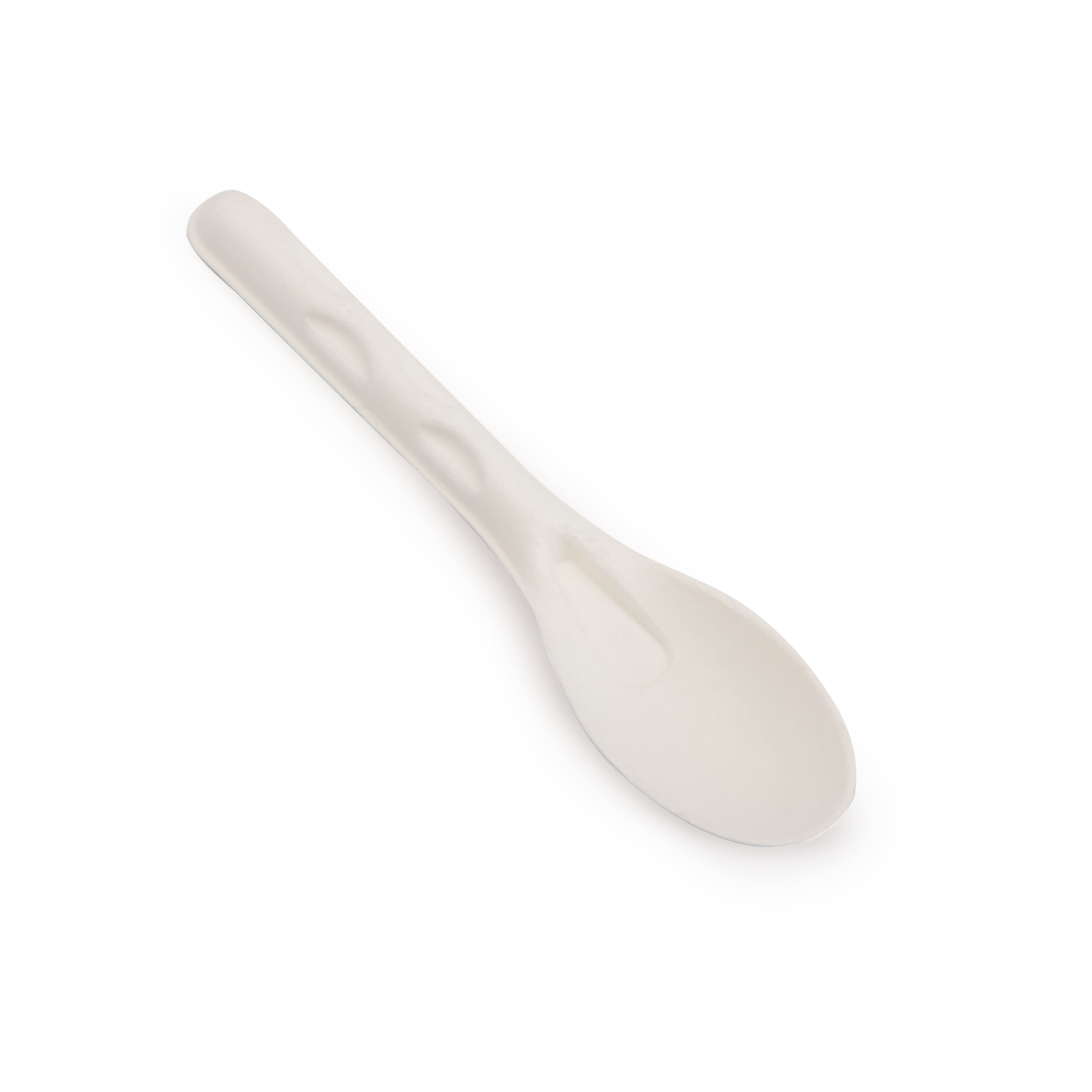 Bagasse Spoon