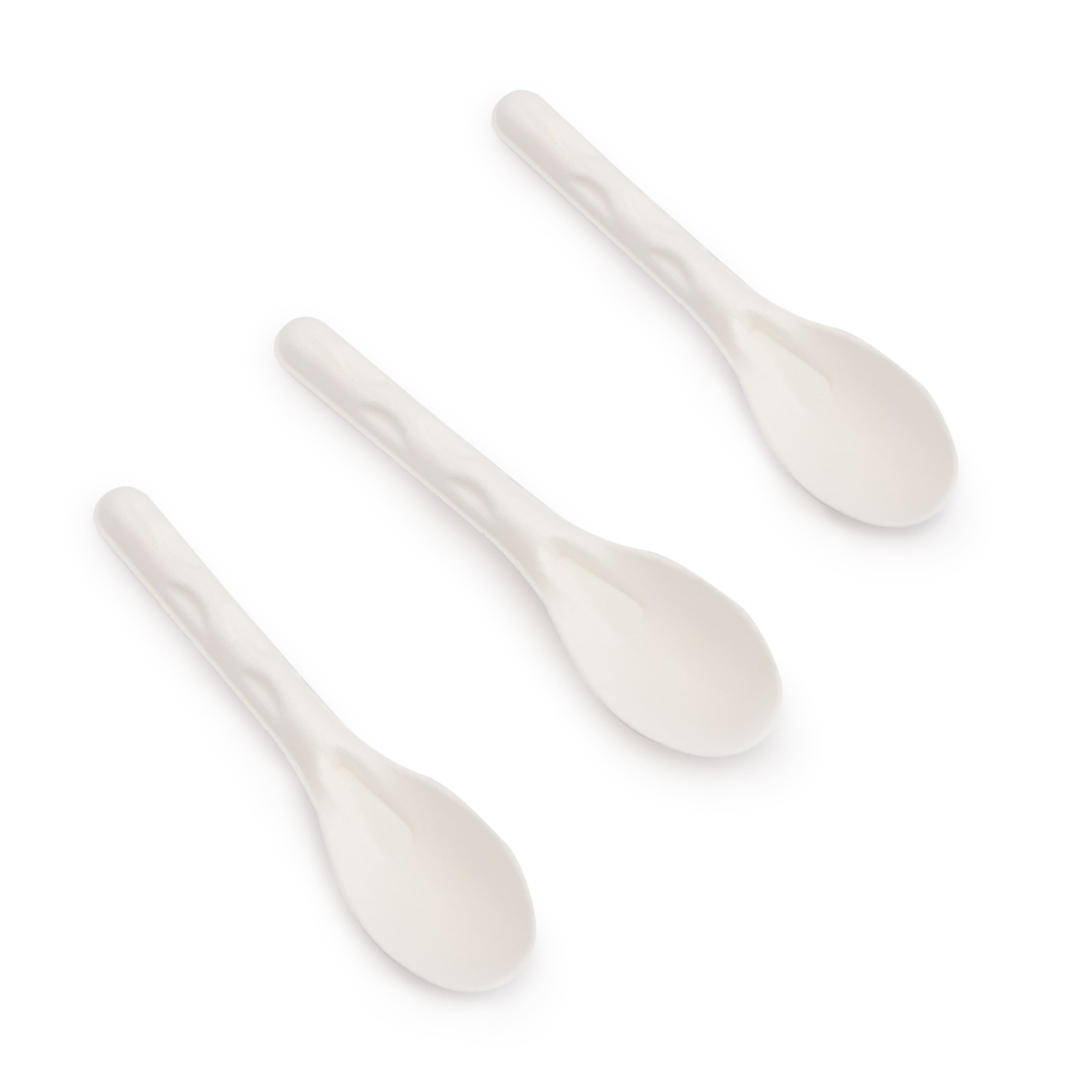 Bagasse Spoon