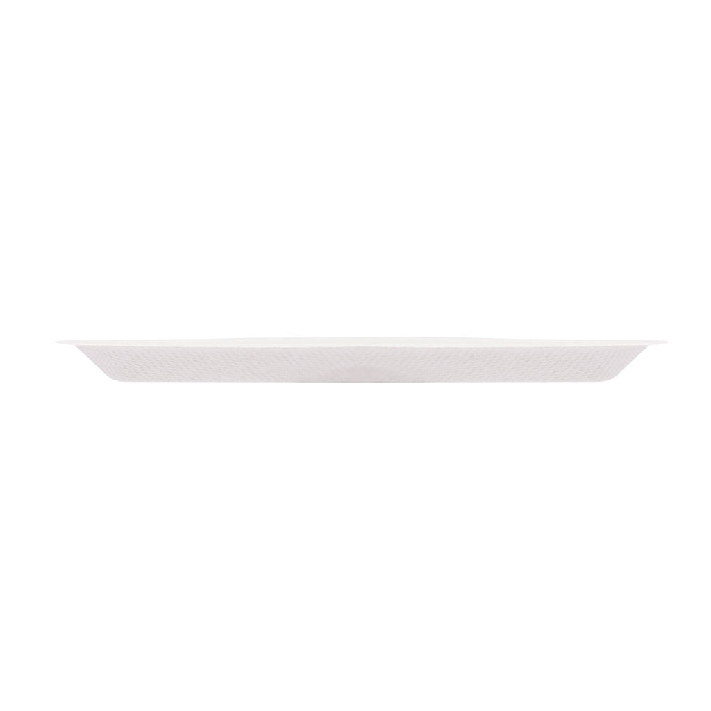 Snack Triangle Plate