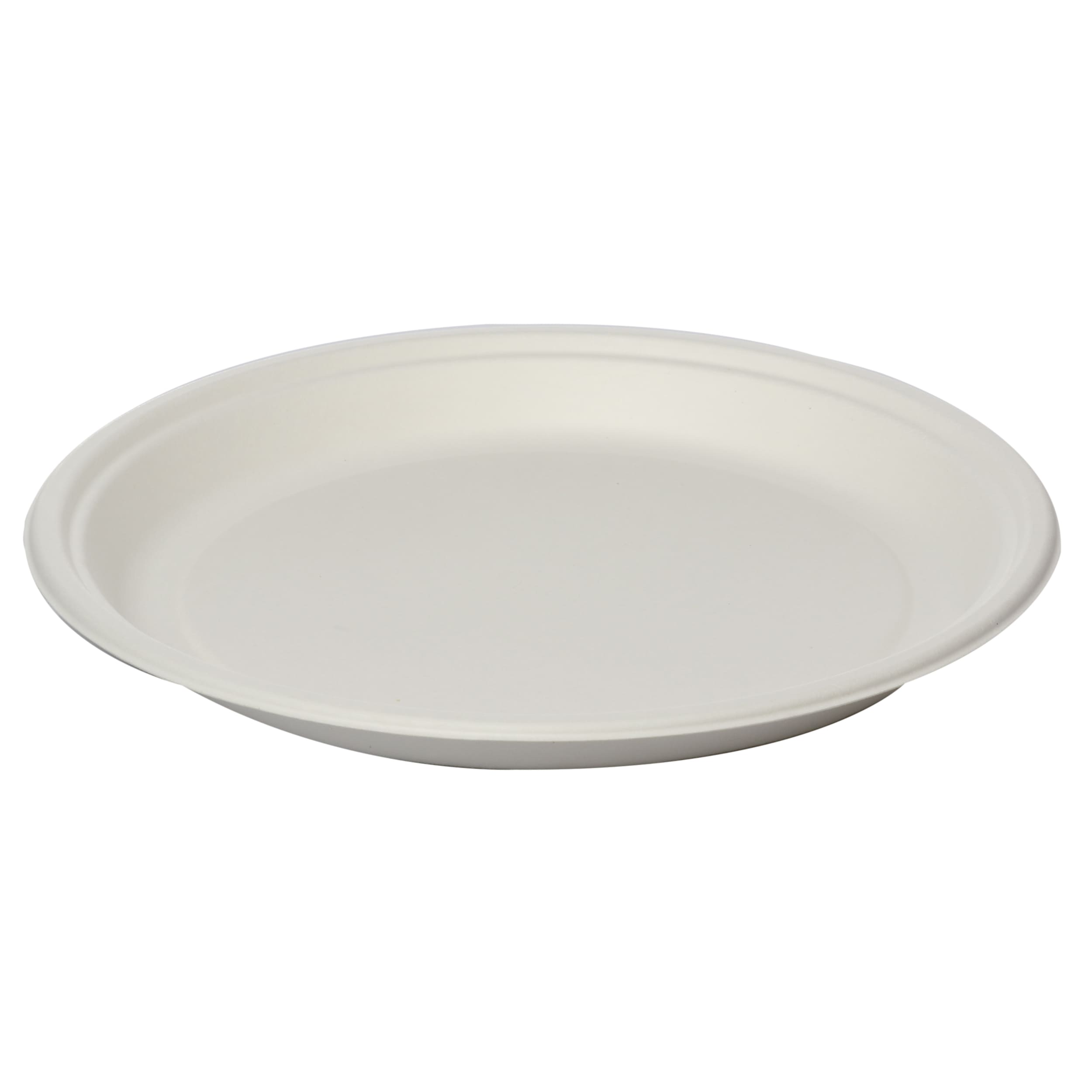 Round Plate 11 inch